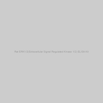 FN Test - Rat ERK1/2(Extracellular Signal Regulated Kinase 1/2) ELISA Kit